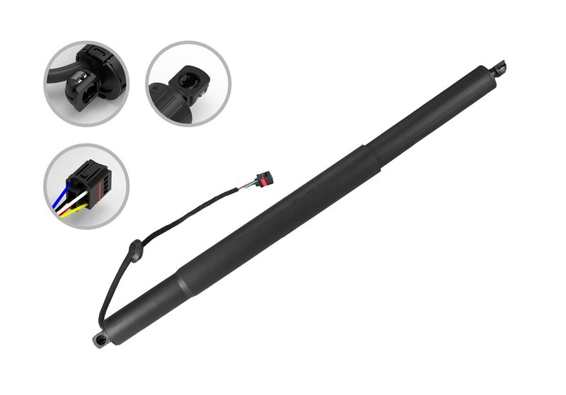 FCS E89097 Liftgate Lift Support - Rear