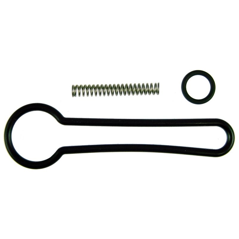 GBR 522-038 Fuel Pressure Regulator Service Kit