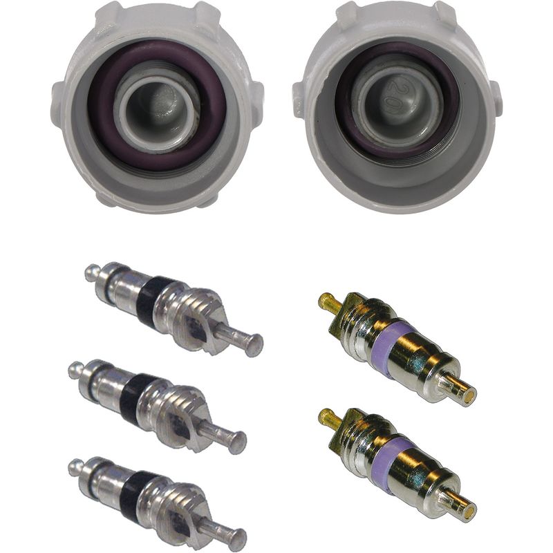 Global Parts 1311752 A/C System Valve Core and Cap Kit