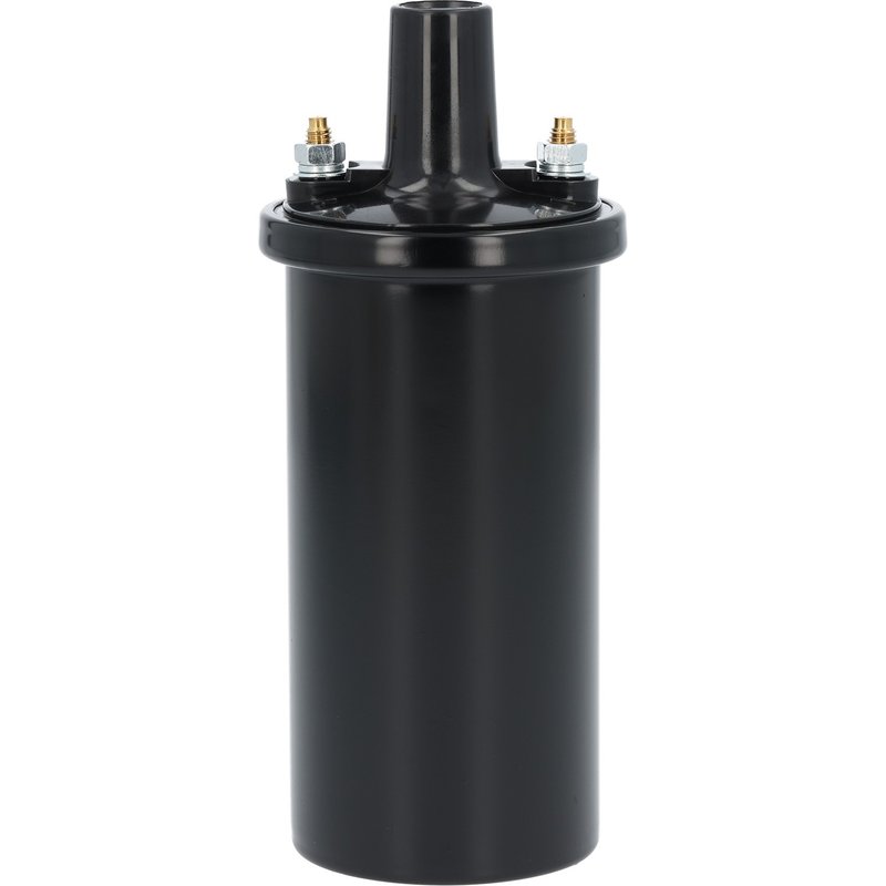 Global Parts 1813824 Ignition Coil