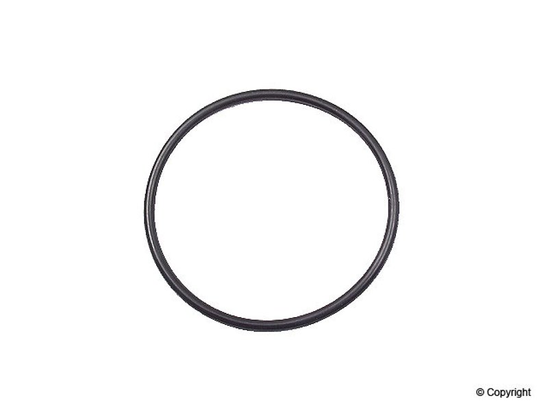 Genuine 0049970748 Fuel Injection Fuel Distributor O-Ring
