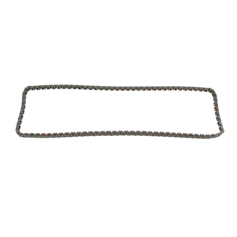 Genuine 243123C100 Engine Timing Chain