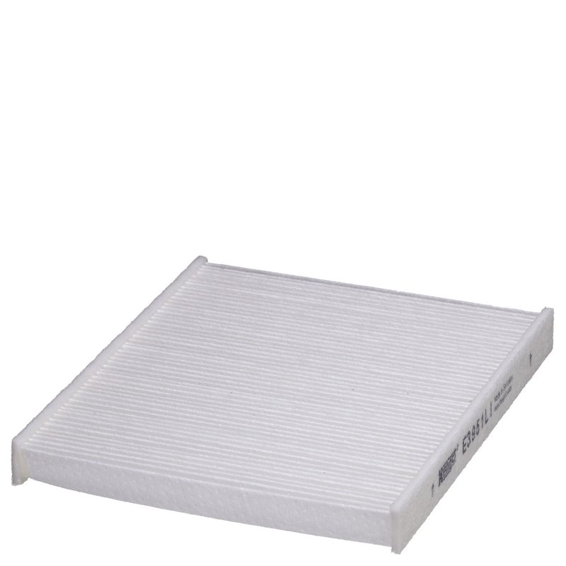 Hengst E3951LI Cabin Air Filter - Recirculation
