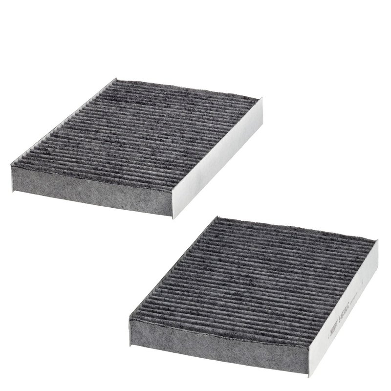 Hengst E4938LC-2 Cabin Air Filter - Front or Rear