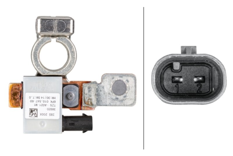 Hella 010547781 Intelligent Battery Sensor (IBS)