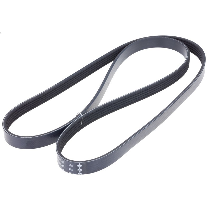 INA FB5K565 Serpentine Belt - Alternator