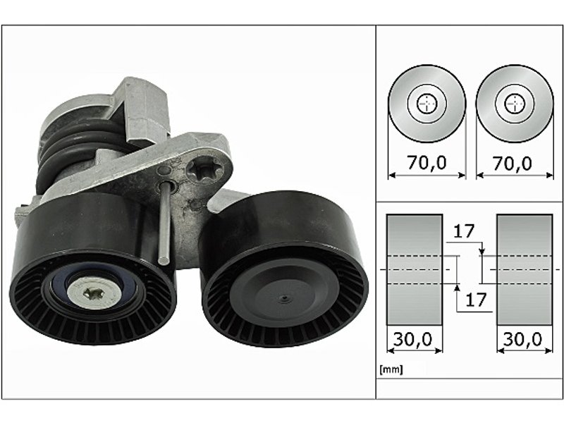 INA FT40496 Accessory Drive Belt Tensioner