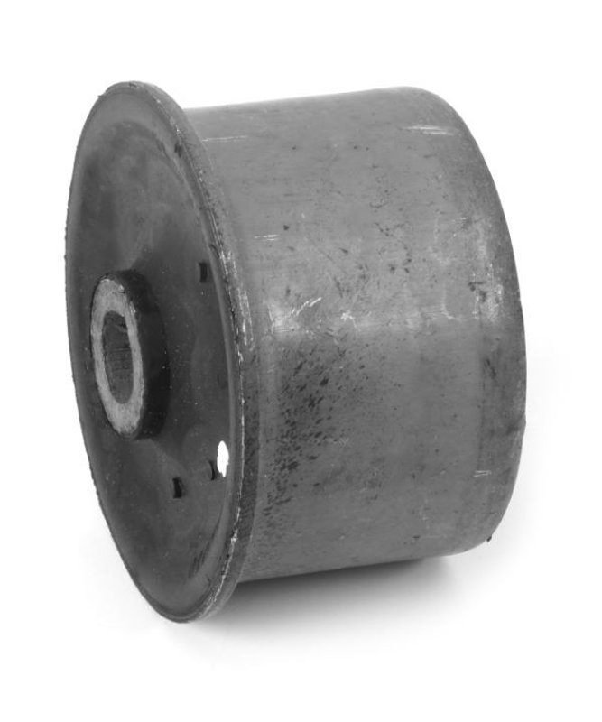 Suspensia X09BU1420 Suspension Control Arm Bushing - Rear Lower