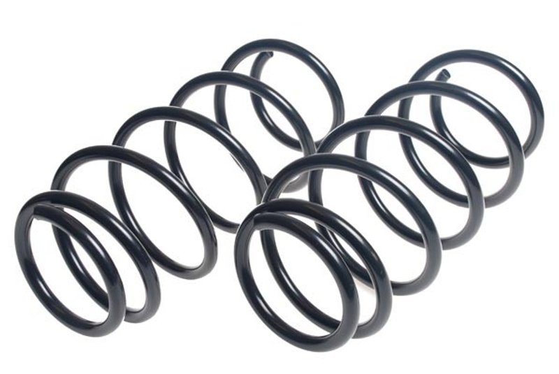 Lesjofors 4149100 Coil Spring - Front
