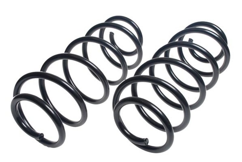 Lesjofors 4427505 Coil Spring - Rear