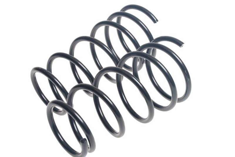 Lesjofors 4427561 Coil Spring - Rear