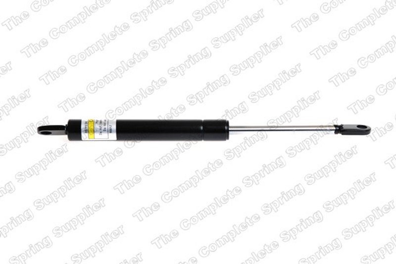Lesjofors 8008405 Hood Lift Support