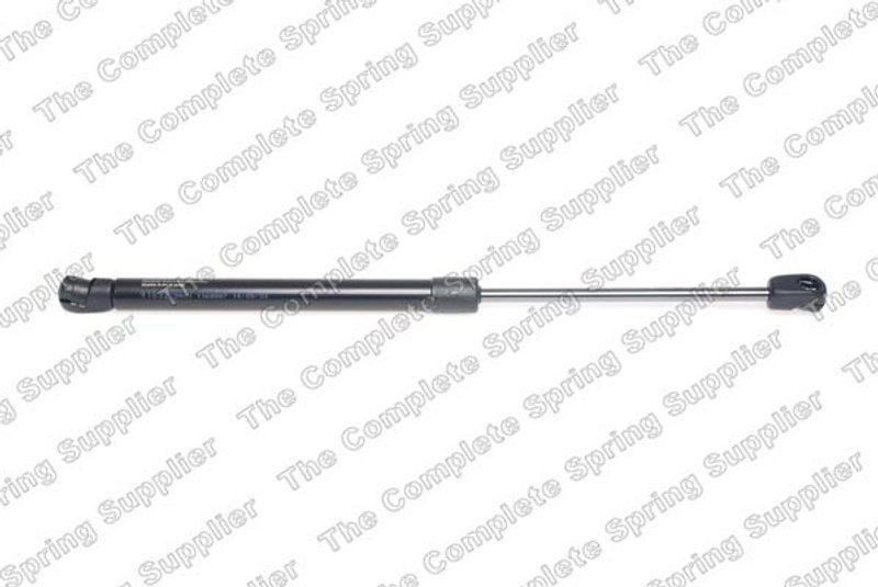 Lesjofors 8062001 Hood Lift Support