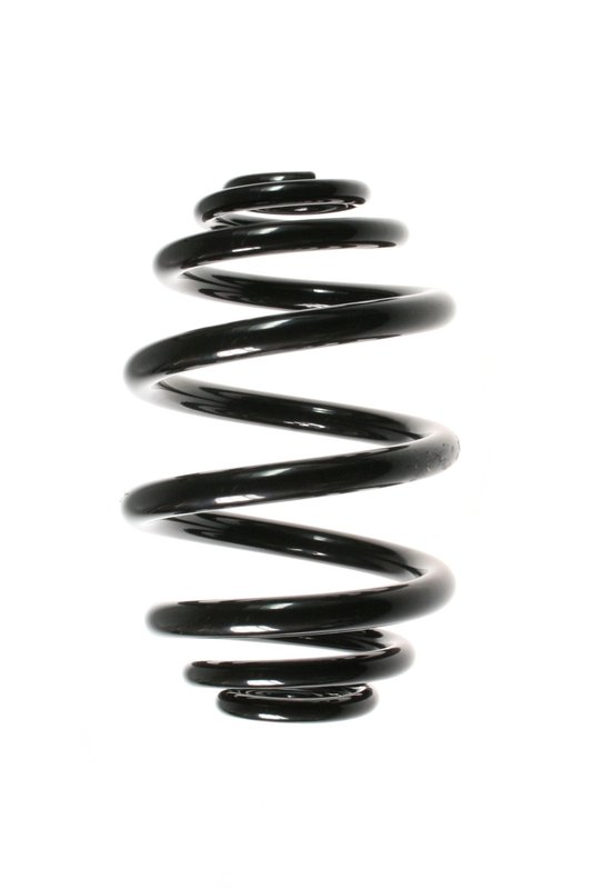 Suplex 06047 Coil Spring - Rear