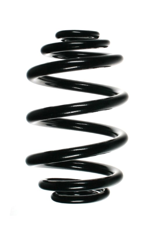 Suplex 06254 Coil Spring - Rear