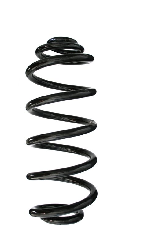 Suplex 06421 Coil Spring - Rear
