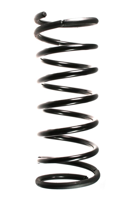 Suplex 19095 Coil Spring - Rear