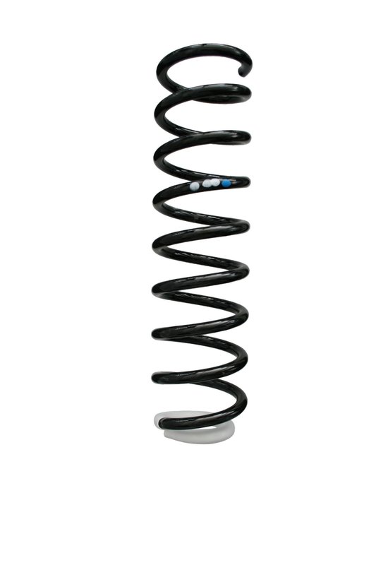 Suplex 19303 Coil Spring - Front