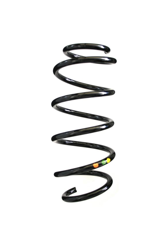 Suplex 39311 Coil Spring - Front