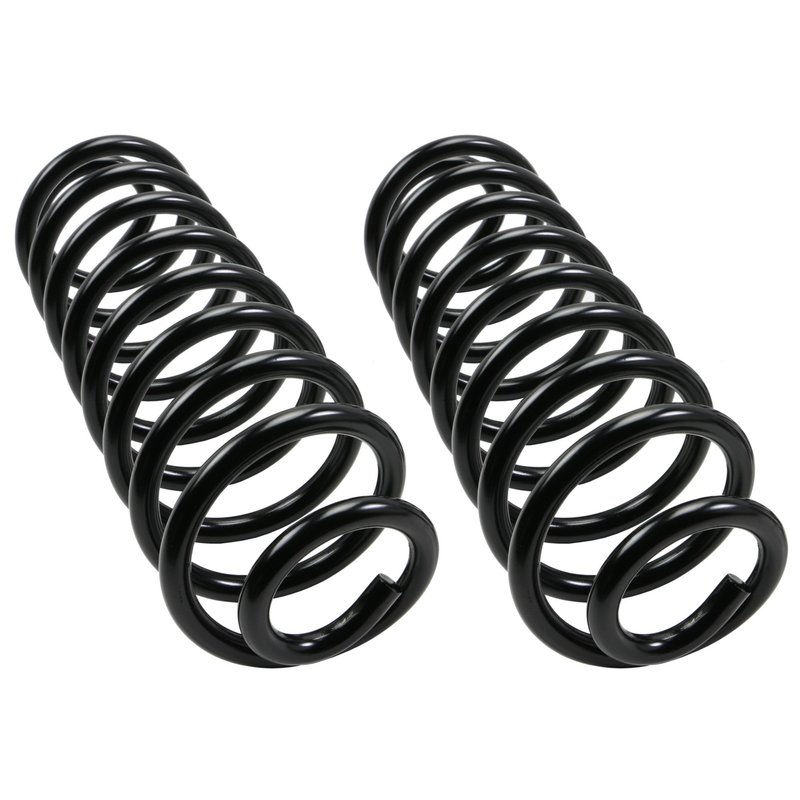 Moog 81049 Coil Spring Set - Rear