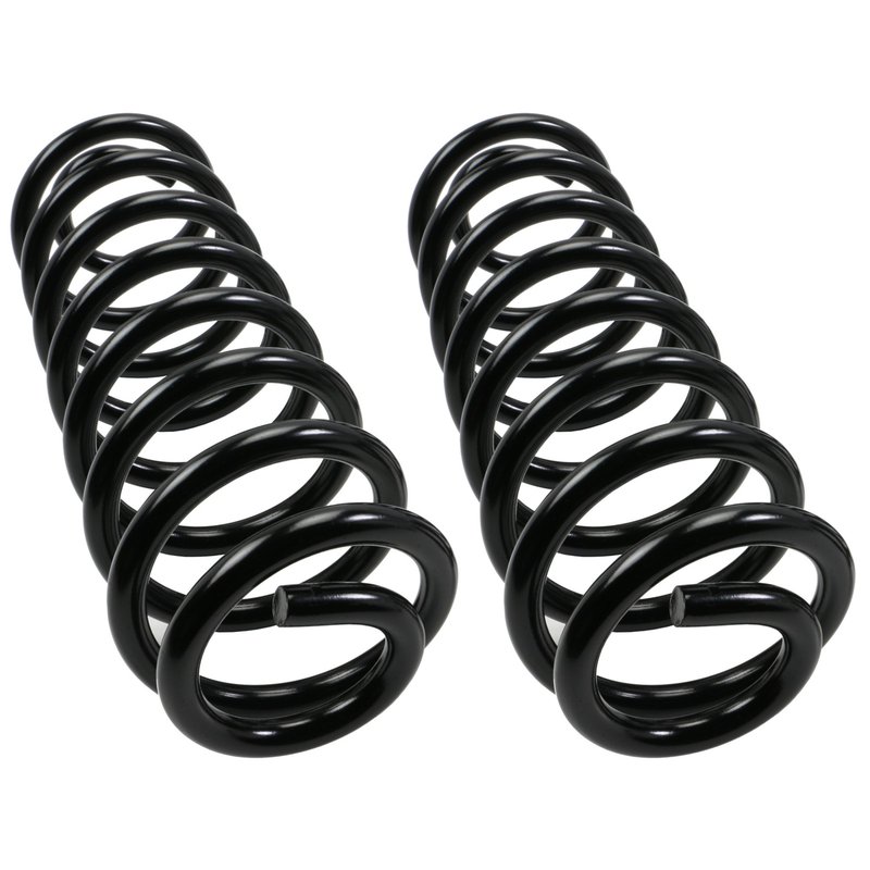 Moog 81069 Coil Spring Set - Rear