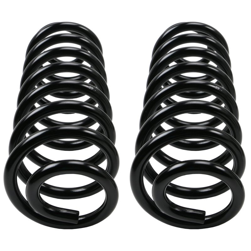 Moog 81071 Coil Spring Set - Rear