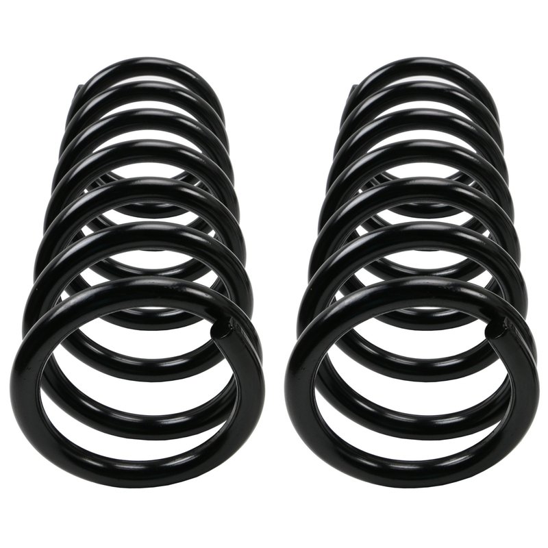 Moog 81119 Coil Spring Set - Rear