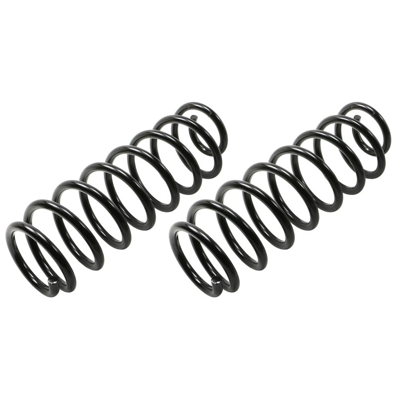 Moog 81669 Coil Spring Set - Rear