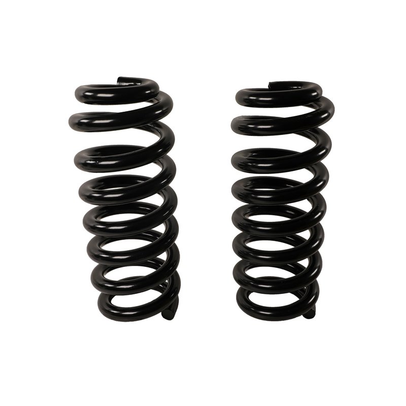 Moog 81763 Coil Spring Set - Rear