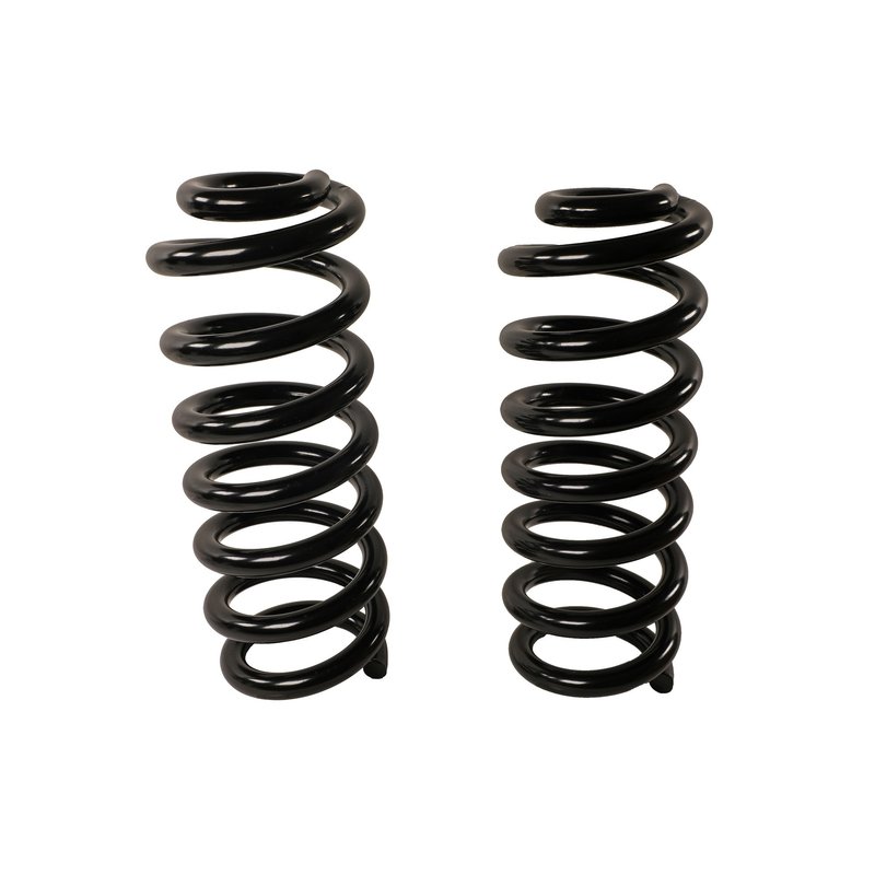 Moog 81769 Coil Spring Set - Rear