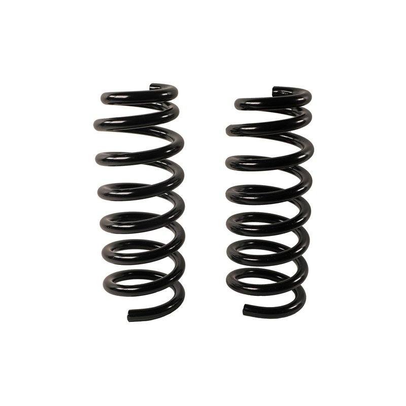 Moog 81785 Coil Spring Set - Rear