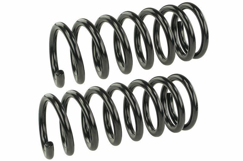 Mevotech SMS30022 Coil Spring Set - Rear