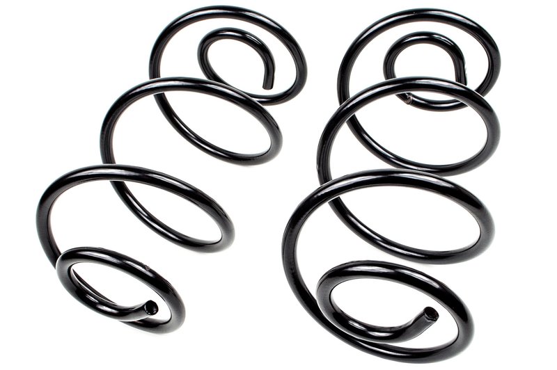 Mevotech SMS5401 Coil Spring Set - Rear