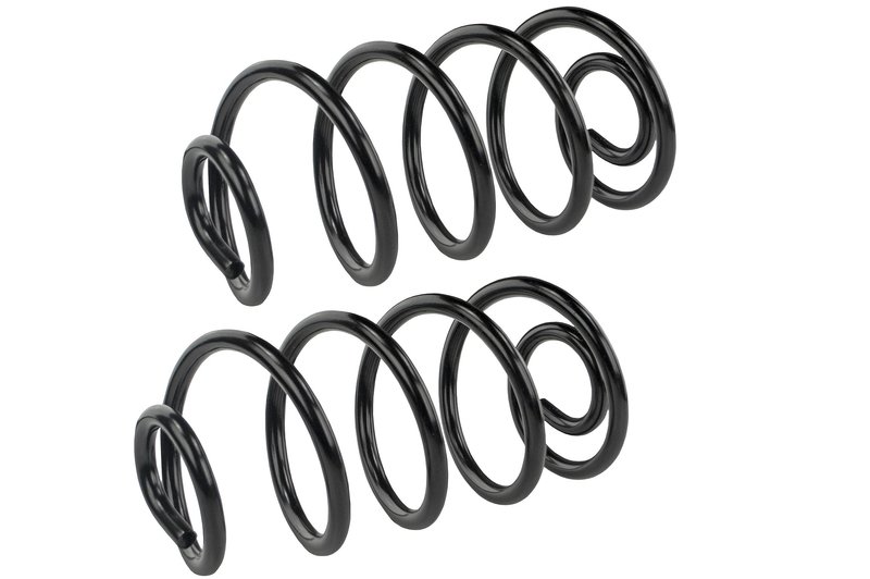 Mevotech SMS5415 Coil Spring Set - Rear