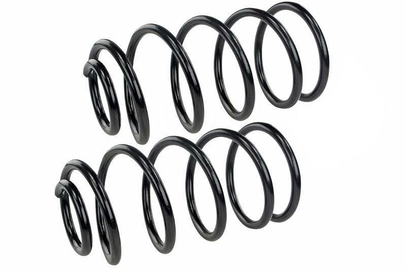 Mevotech SMS60197 Coil Spring Set - Rear
