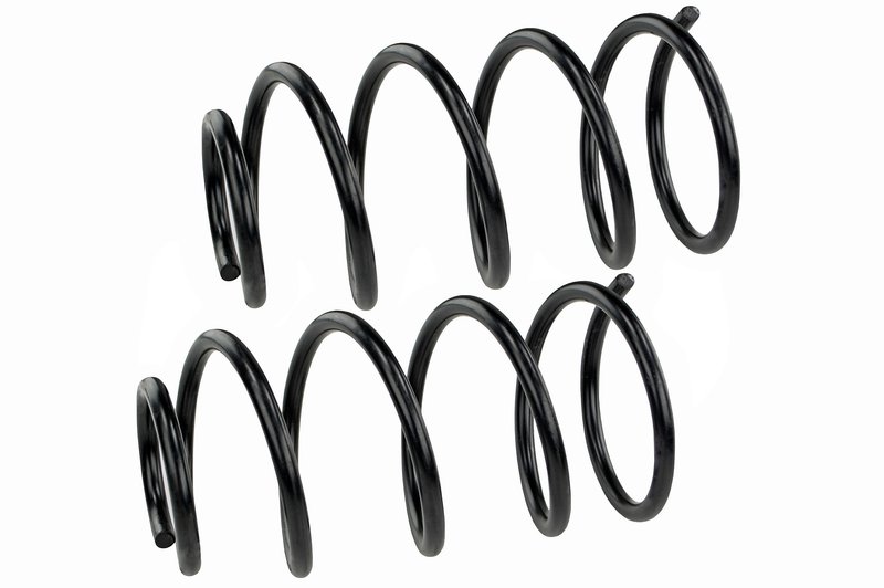 Mevotech SMS60199 Coil Spring Set - Rear