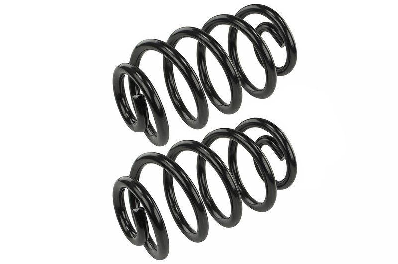Mevotech SMS6101 Coil Spring Set - Rear