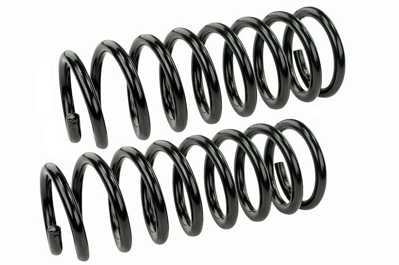 Mevotech SMS80645 Coil Spring Set - Rear