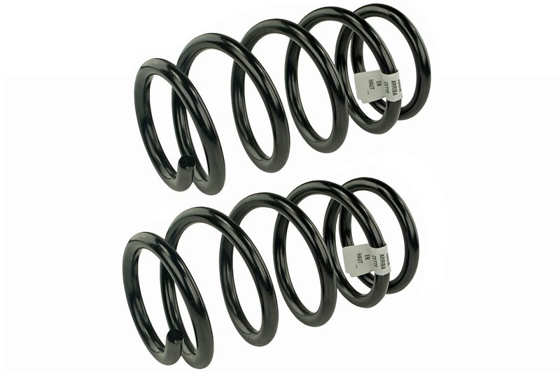 Mevotech SMS81659 Coil Spring Set - Rear