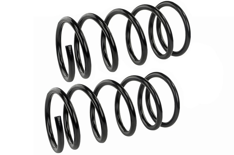 Mevotech SMS90007 Coil Spring Set - Front