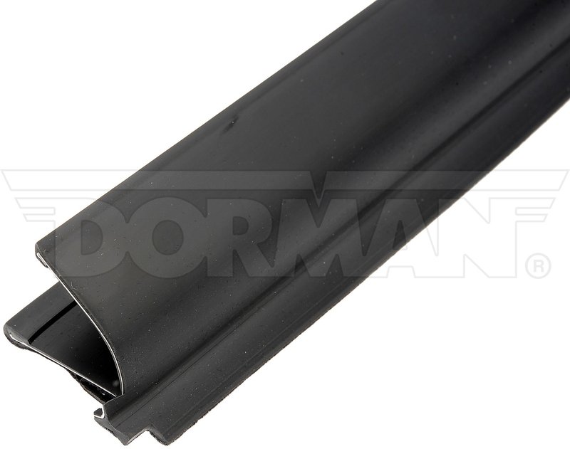 Dorman 25839 Door Window Seal - Right Outer