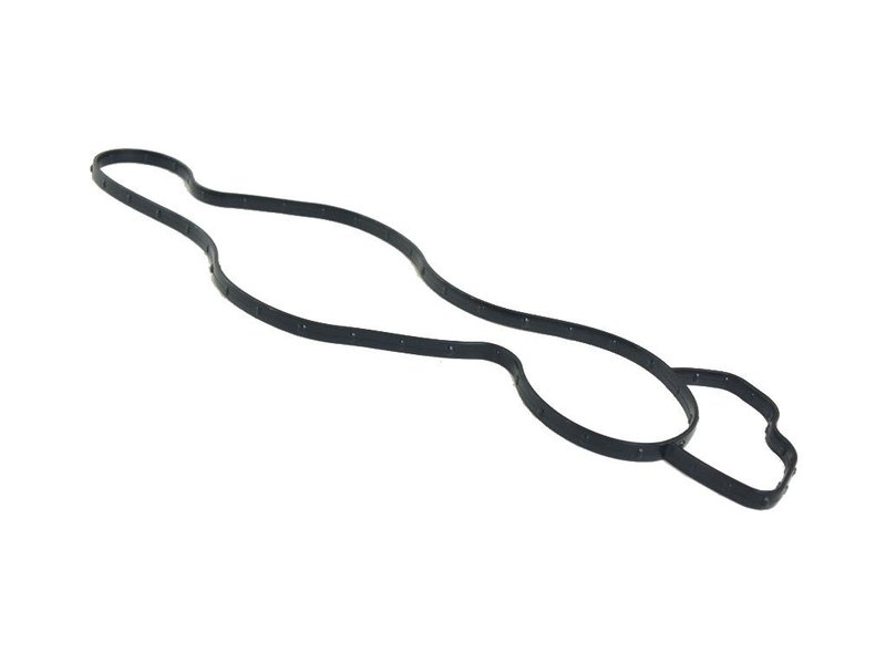 Mopar 68165890AA Engine Water Pump Gasket