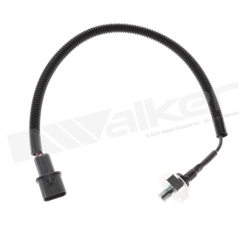 Walker 242-1066 Ignition Knock (Detonation) Sensor