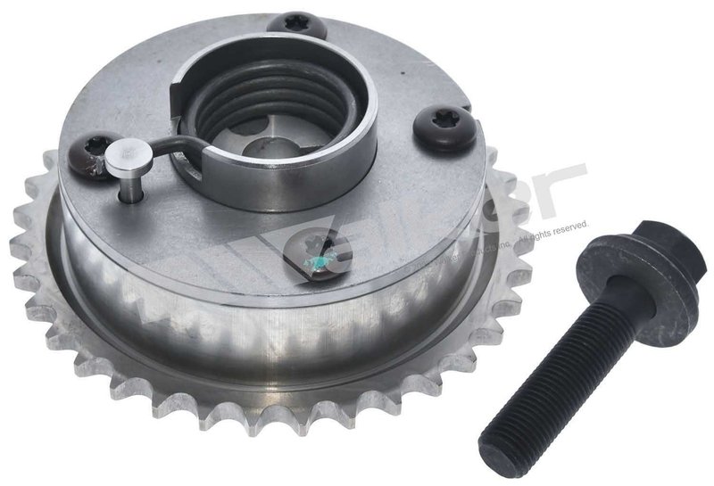 Walker 595-1031 Engine Variable Valve Timing (VVT) Sprocket - Exhaust