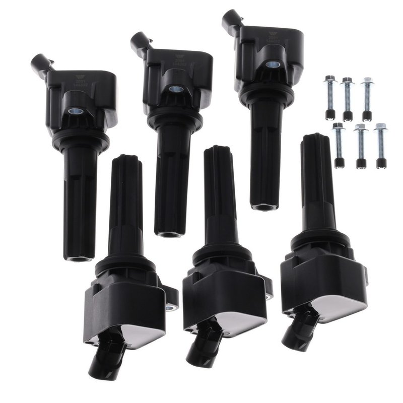Walker 928-4089-6 Ignition Coil Set