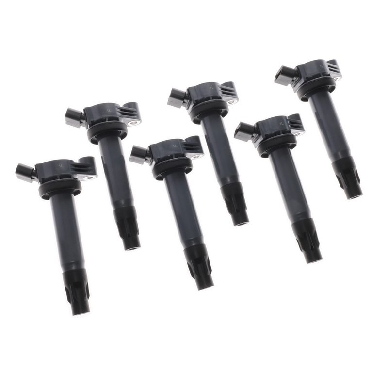 Walker 928-4092-6 Ignition Coil Set