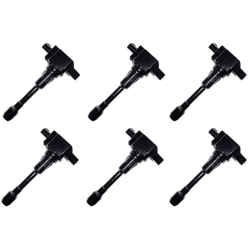 Walker 928-4109-6 Ignition Coil Set