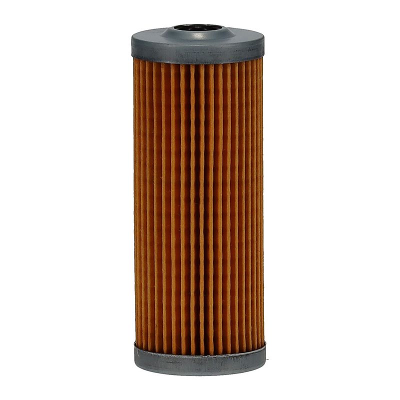 Premium Guard DF30295 Fuel Filter