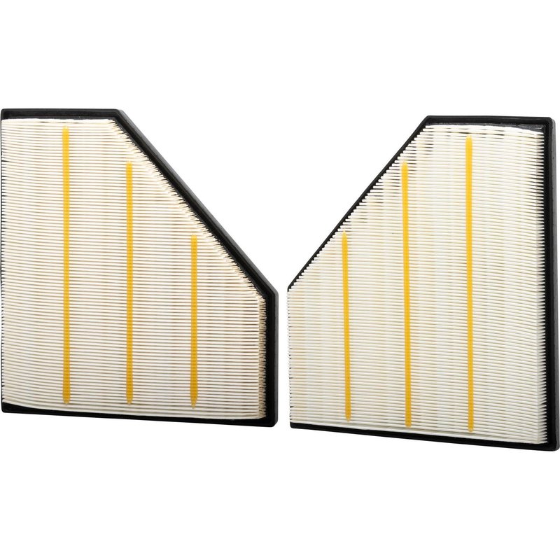 Pronto PA99871K Engine Air Filter - Left and Right