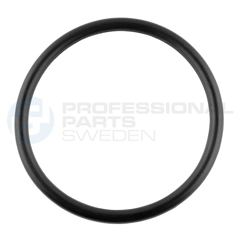 Professional Parts Sweden 23439276 Fuel Pump O-Ring